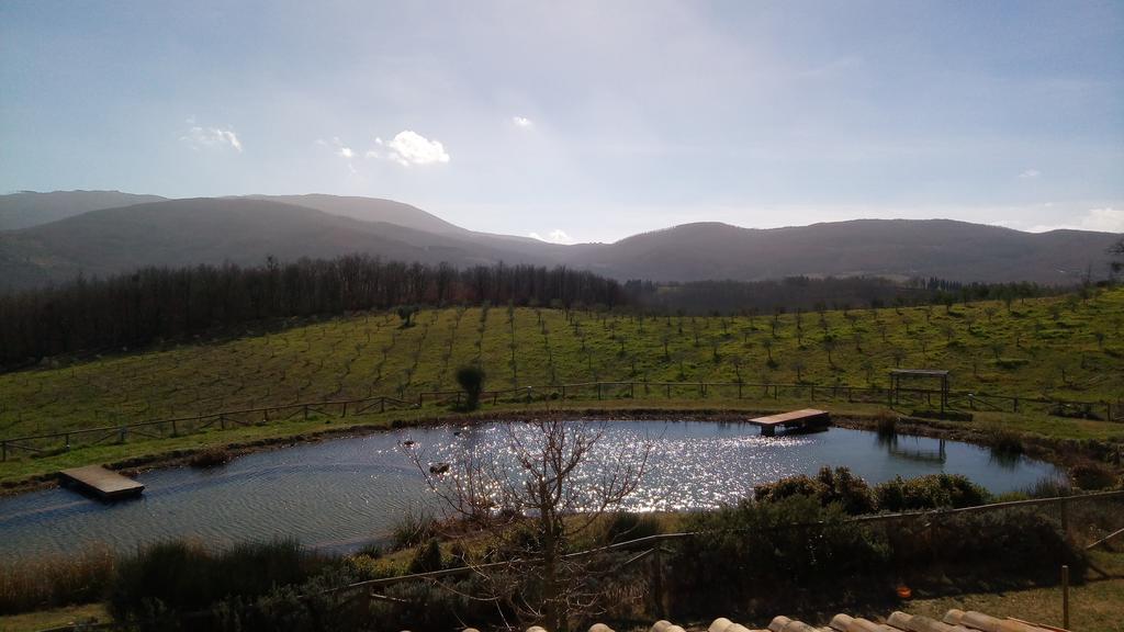 Fattoria San Paolo Agriturismo Montecastelli Pisano Eksteriør billede